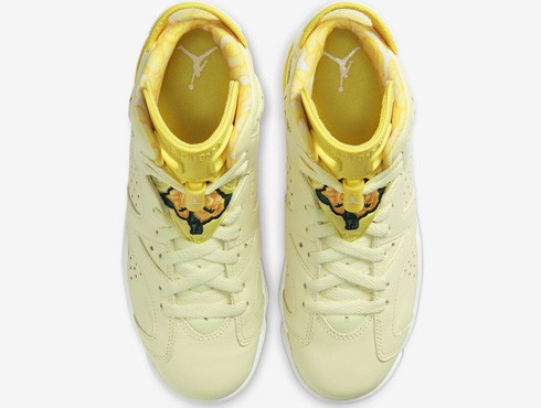 Air Jordan 6 Retro “Floral”